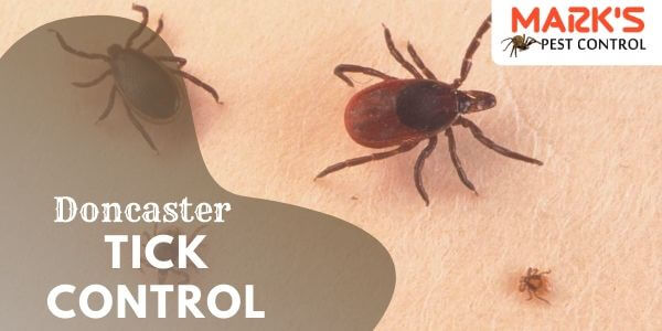 Tick control Doncaster