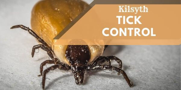 Tick control Kilsyth