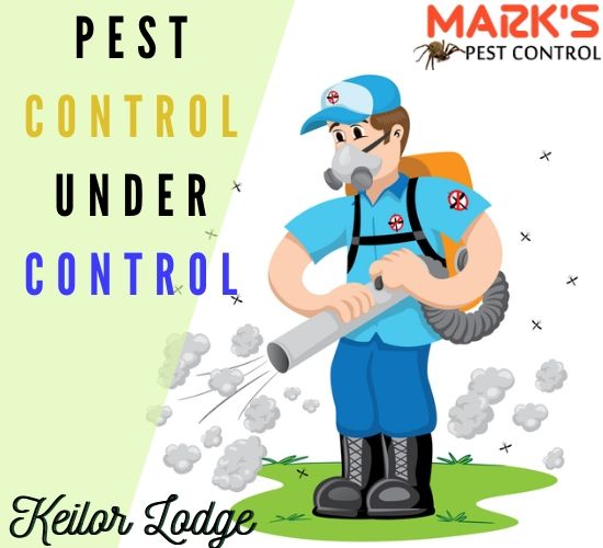 Pest Control Keilor Lodge