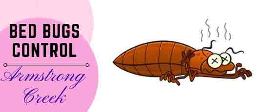 Bed bugs Control Services