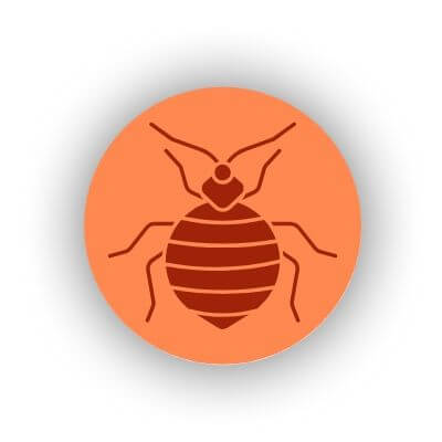 bedbugs control