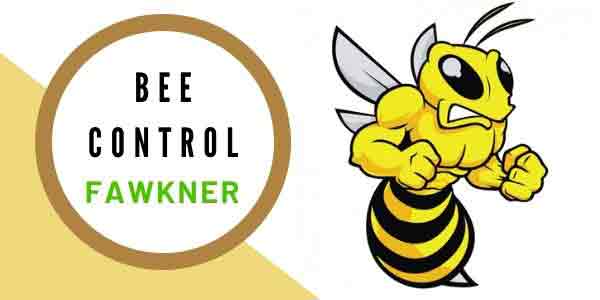 Bees Control Service
