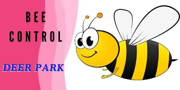 Bees Control Service