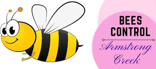 Bee Control Services