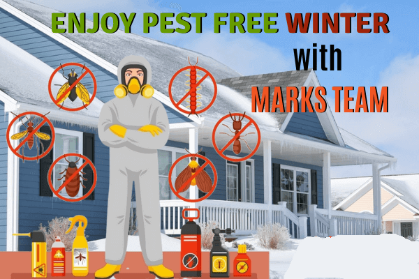 Pest Free Winter