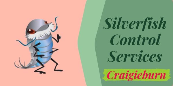 Silverfish Control Service