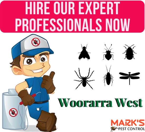 Marks Pest Control Woorarra West
