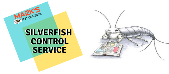 silverfish Control service- Marks Pest control
