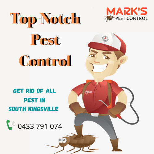 Top Notch Pest Control