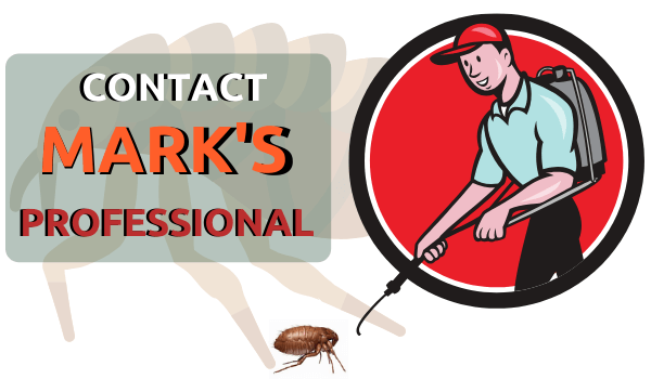 marks flea controller