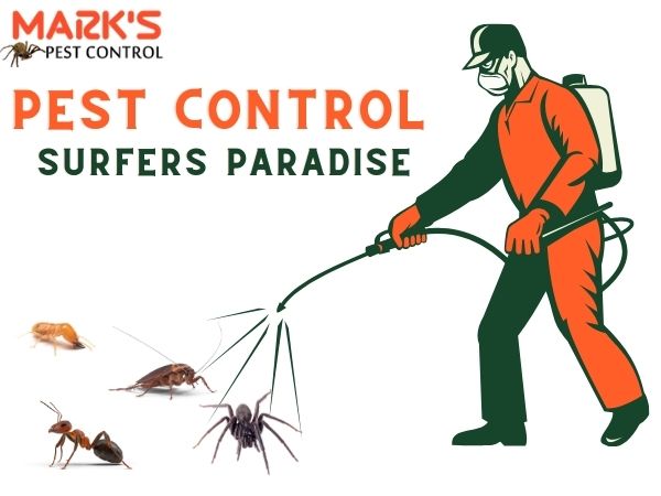 pest control Surfers Paradise