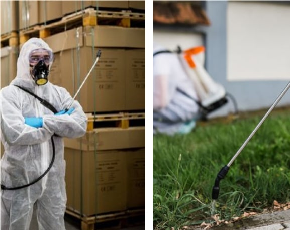 commercial and residential pest removal