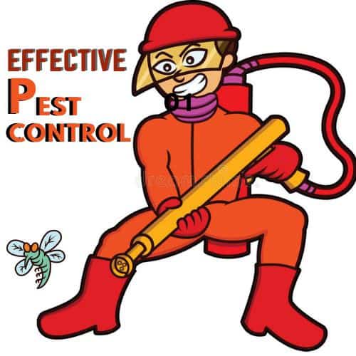 effective pest control