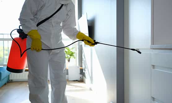 exterminate pests in warrnambool