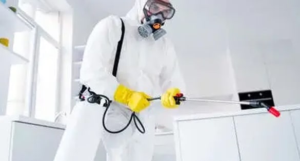 same day pest control service Traralgon