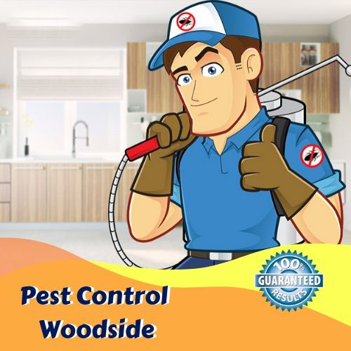 Pest Control Woodside
