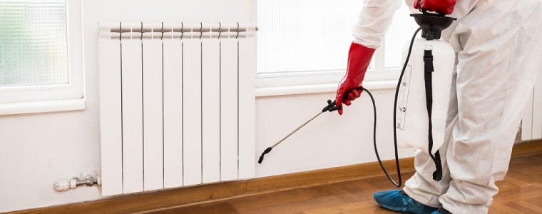 best pest control dandenong south