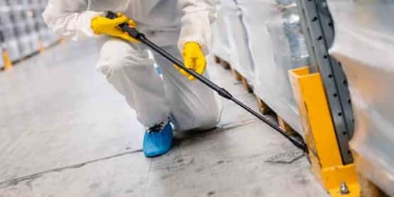 commercial pest removal in tooradin