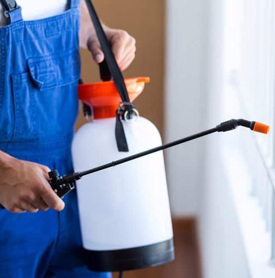 end of lease pest control service in tooradin