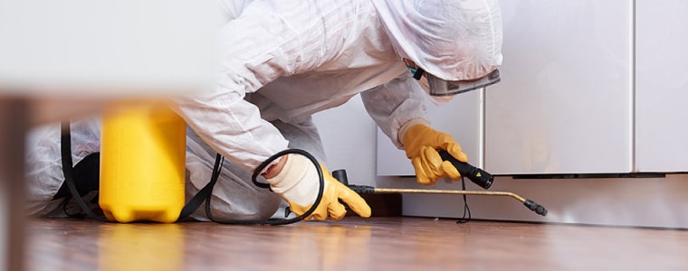 massey pest control hawthorn east