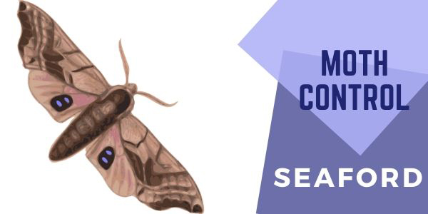 Ant Control Service Moth Control Service