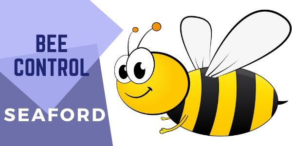 Bee Control Service Bees Control Service