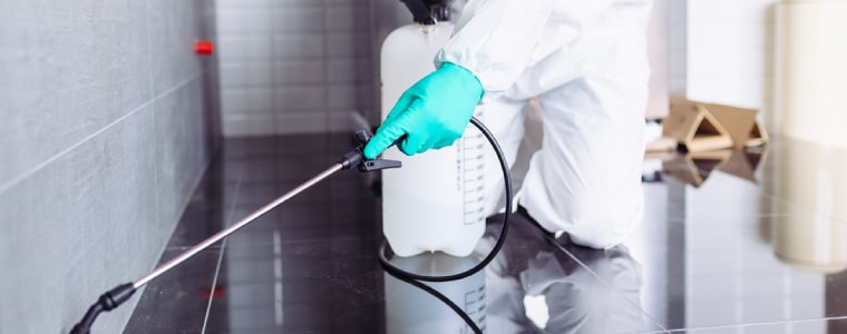 pest control dandenong south