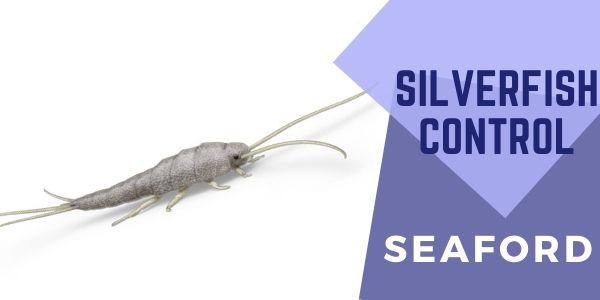silverfish Pest Control