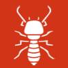 termites Control Beaconsfield