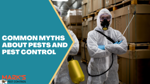 Common Myths about Pests and Pest Control