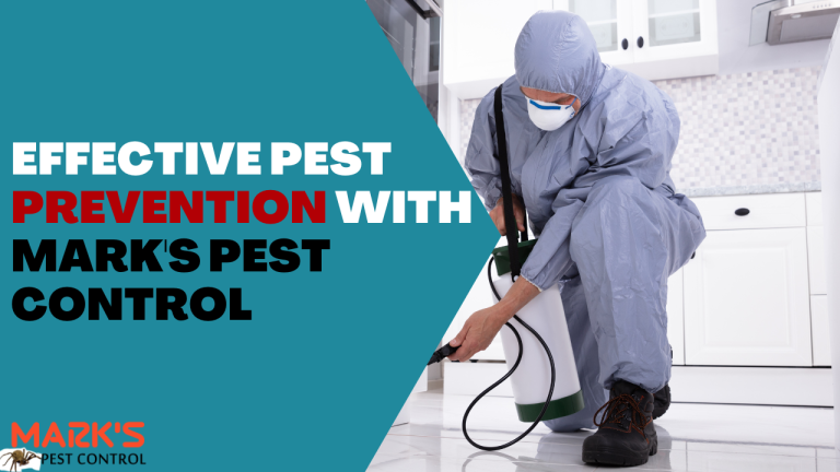 Effective Pest Prevention With Marks Pest Control