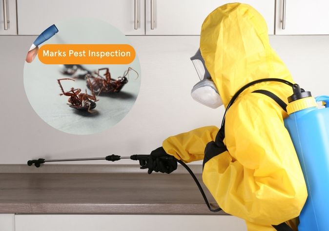 Marks Pest Insoection