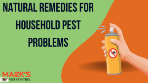 Natural Remedies for Household Pest Problems (1)