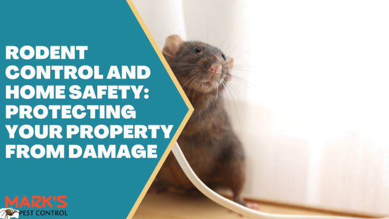 Rodent Control and Home Safety Protecting Your Property from Damage
