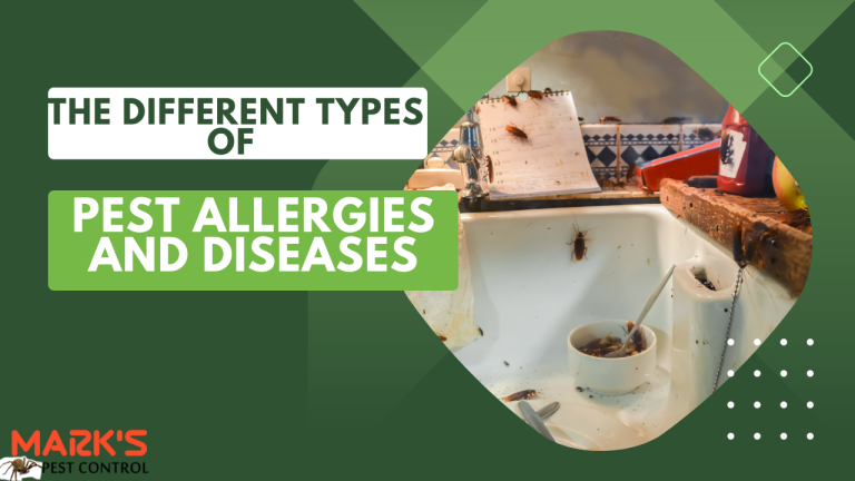 The Different Types of Pest Allergies and Diseases