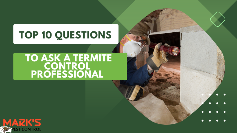 Top 10 Questions To Ask a Termite Control Professional