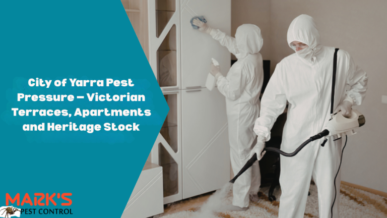City of Yarra Pest Pressure — Victorian Terraces, Apartments and Heritage Stock
