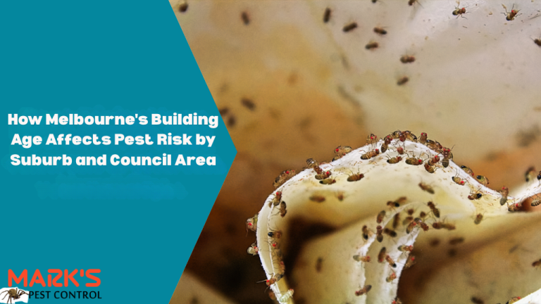 How Melbourne's Building Age Affects Pest Risk by Suburb and Council Area