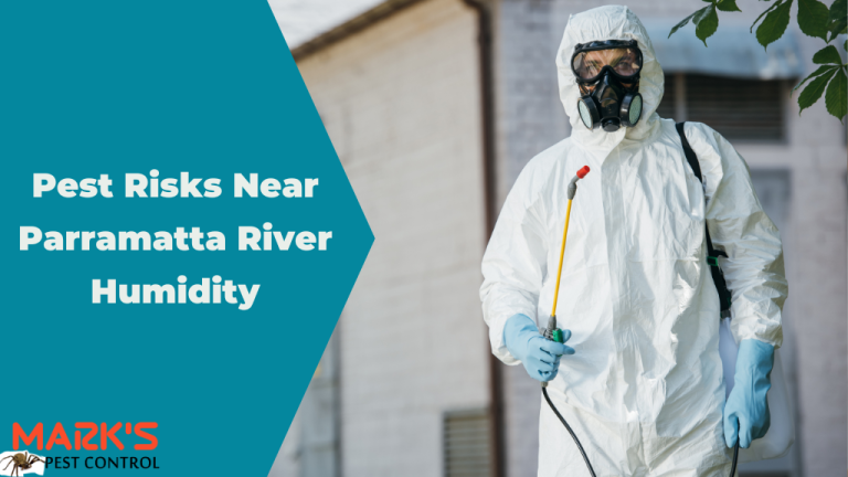 Pest Risks Near Parramatta River Humidity