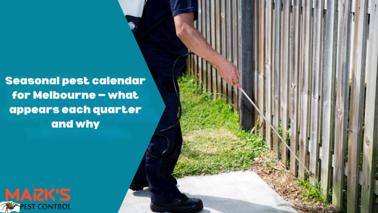 Seasonal pest calendar for Melbourne — what appears each quarter and why