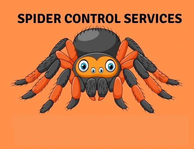 Spider Removal services